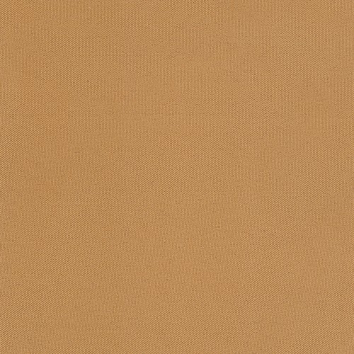 Cartenza camel